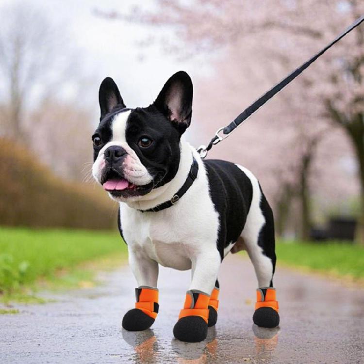 4pcs Small Dog Shoes With Soft Soles Comfortable Protective Dog Footwear for Active Dogs Size