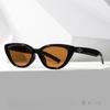 Gm Womens Cat Eye Sunglasses With Uv400 Protection For Fashion And Travel