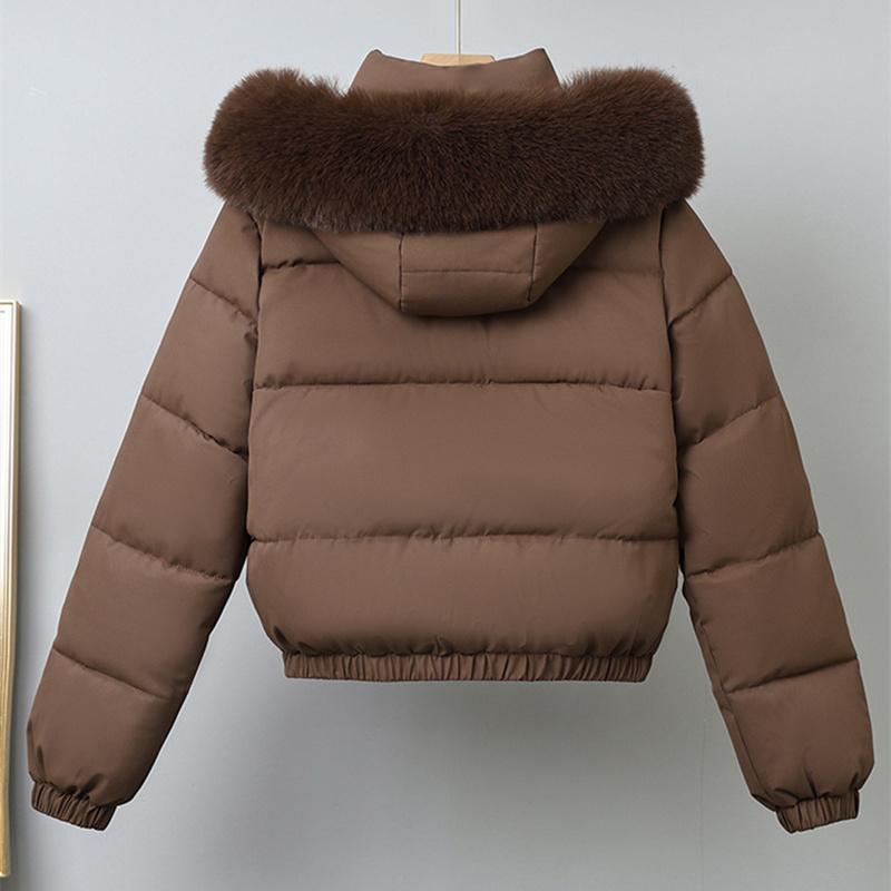 Winter Kurze Parkas Damen Baumwollgepolsterte Kleidung Samt hinzufügen Verdicken Oberbekleidung Pelzkragen Abnehmbare Kapuze Mäntel Warme Jacken