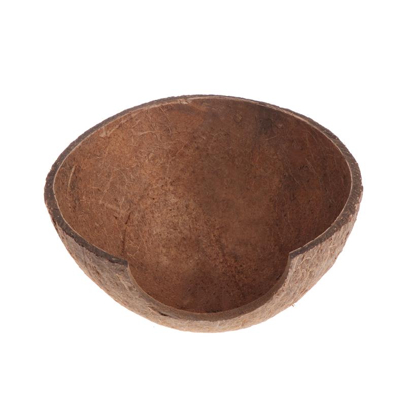 

Рептилія приховати Хабітат природного кокосового оболонки ящірка павук стрілецької тварина печера будинок