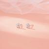 Temperament Flower Earrings for Women's New Exquisite Light Luxury Earrings