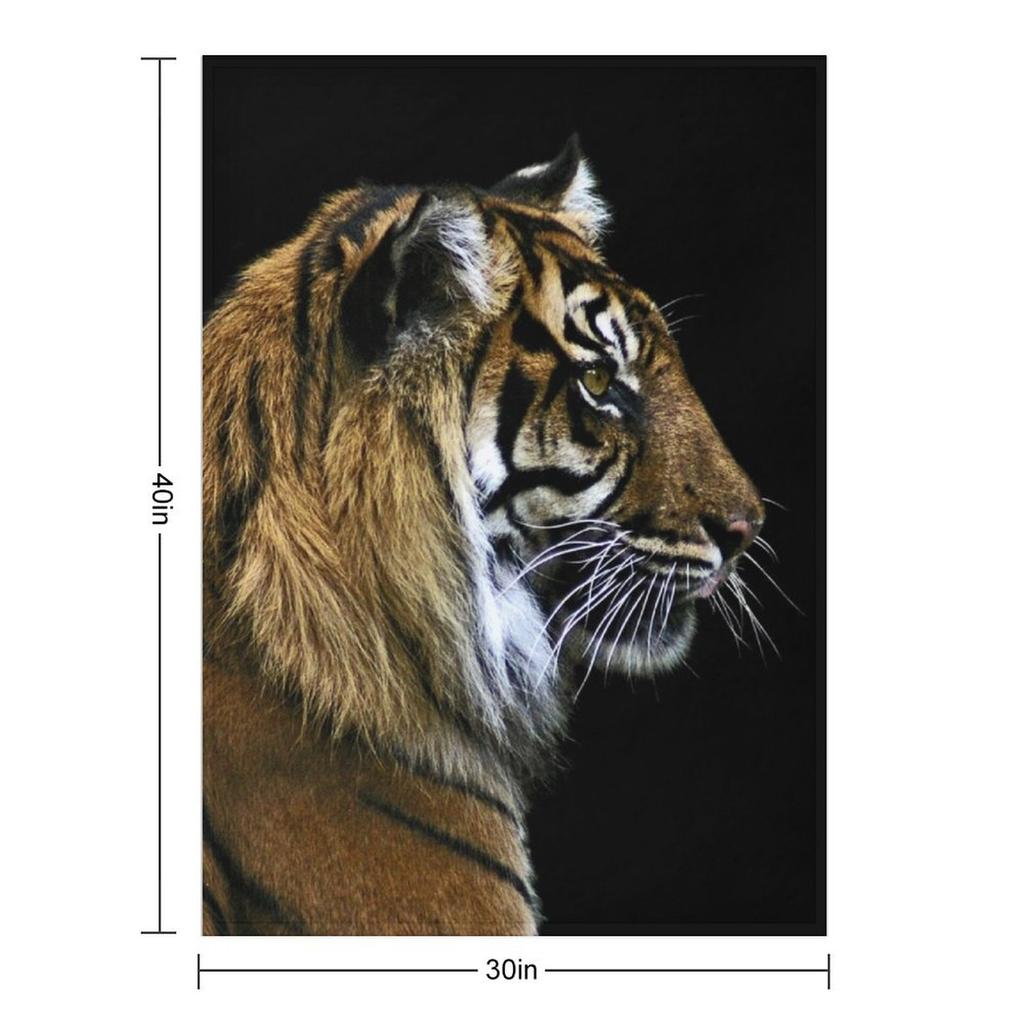 Tiger Throw Blanket Extra Large Throw Fashion Sofas Decorative Blankets For Bed Blankets