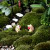 2 pezzi di figurine di riccio mini decorazioni in resina piante grasse ornamenti paesaggistici