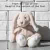 Pet Companion Toys bunny stuffed animal,easter basket essentials,dog toys, throw pillows for couch,home decor, birthday gifts