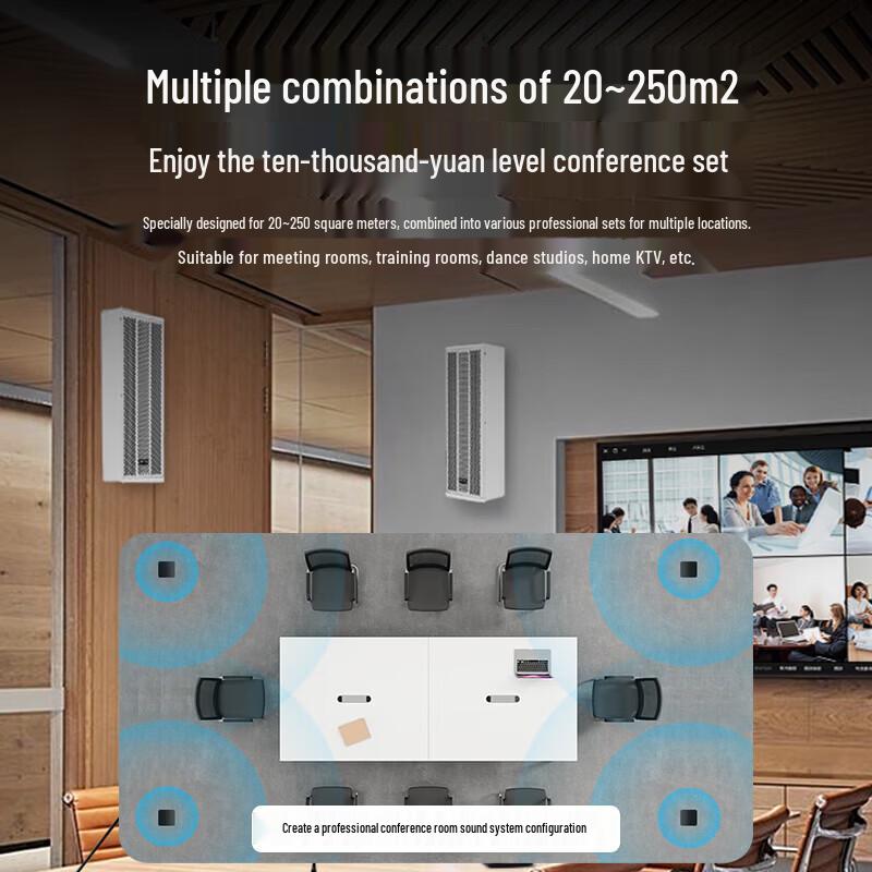 SAST Conference Room Audio System with Dual Wireless Microphones (CN version)