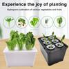 Hydroponic Grow Box 6-Hole Planting System Home Herb Planter Vegetable Cultivation Kit for Indoor Gardening