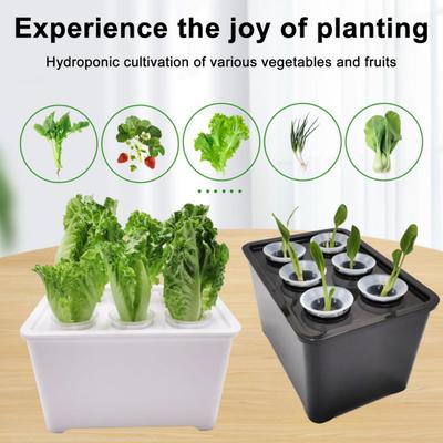 Hydroponic Grow Box 6-Hole Planting System Home Herb Planter Vegetable Cultivation Kit for Indoor Gardening