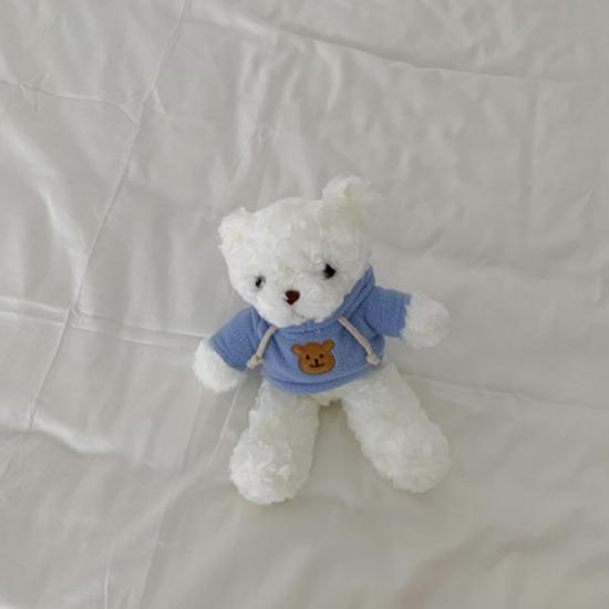 Ins Plush Teddy Bear Doll Sweatshirt Bear Doll Sleep Hug Bear Boy and Girl Toy Birthday Gift