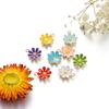 10Pcs Colorful Alloy Drop Oil Daisies Charm Flower Plant Pendant for DIY Bracelet Necklace Earrings Jewelry Making Accessories