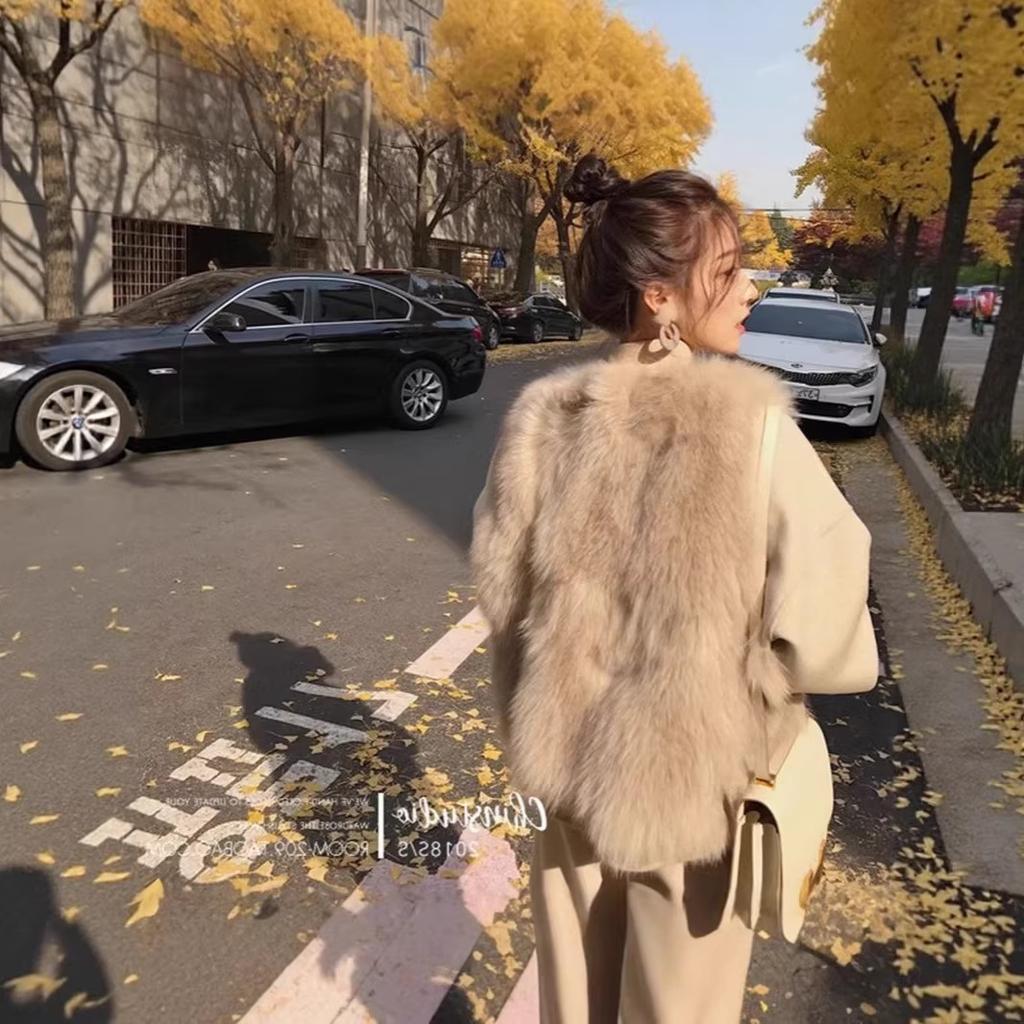 Fur vest jacket vest rabbit fur autumn and winter short Tuscan new female fox hair Korean version imitation