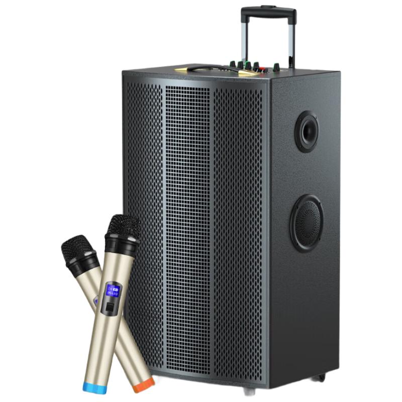 Soaiy Portable Bluetooth KTV Trolley Speaker