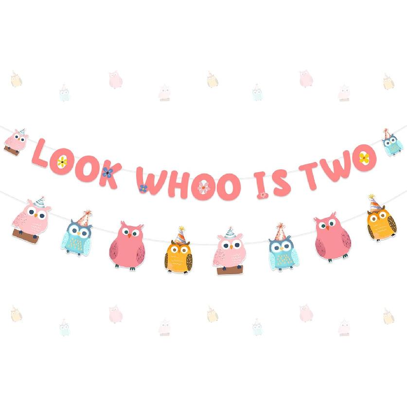 Pink Owl 2nd Birthday Party Banner & Garland for Girls