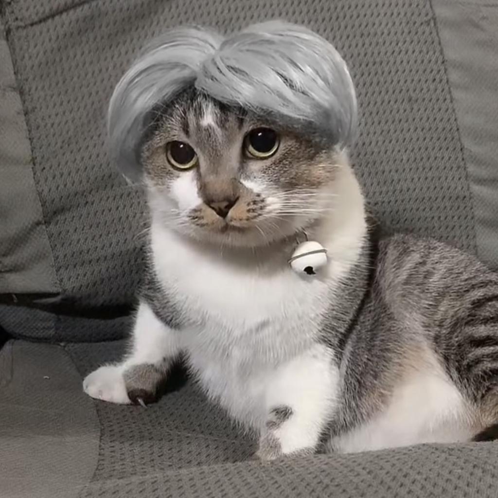 Adorable Cat Wig Featuring Center Part And Colorful Braids For Unique Pet Costumes