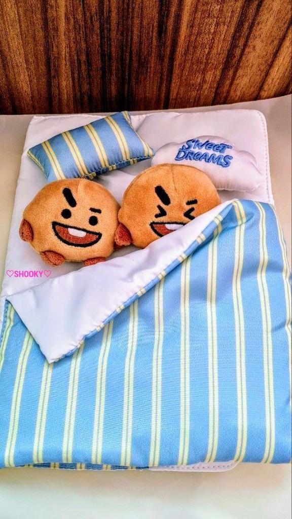 [USED] BTS BT21 Tatton Basic Mascot Key Ring SHOOKY