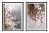 Framed Poster Art 53x73cm Diptych Set of 2 Paintings Grass Beige Boho P2137