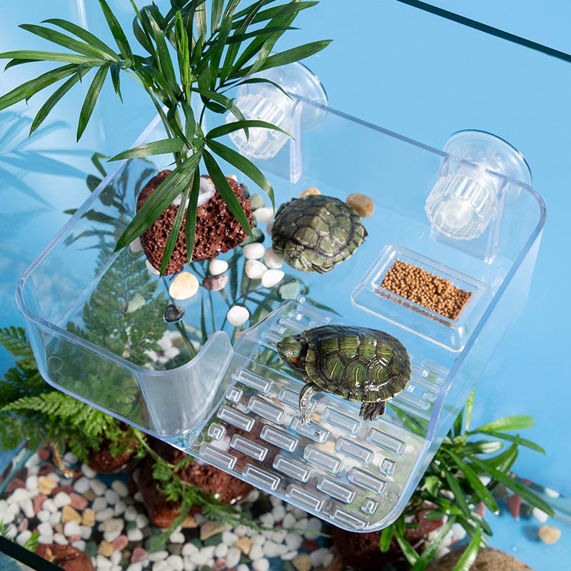 Turtle Basking Suction Cup Clear Ramp Ramp Dock Adjustable Height For Tank Aquarium Habitat Reptile Pet Care Aquatic Terrarium