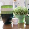 Plastic Indoor Planter Flower Pots Round Planters Succulents Plant Pot with Tray Office Desktop Decoration Home Outdoor Potted