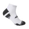 Everlast Mens Cushioned Fitted Ankle Socks (Pack of 2)