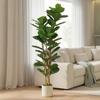 Artificial Indoor Plant, 180 cm Fiddle-Leaf Fig, Plastic Pot, Solid Wood Trunk, Green