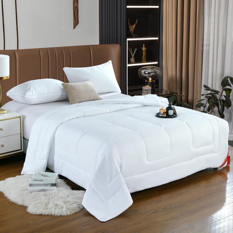 

Jiu Xunlu Elegant Tussah Silk Summer Quilt