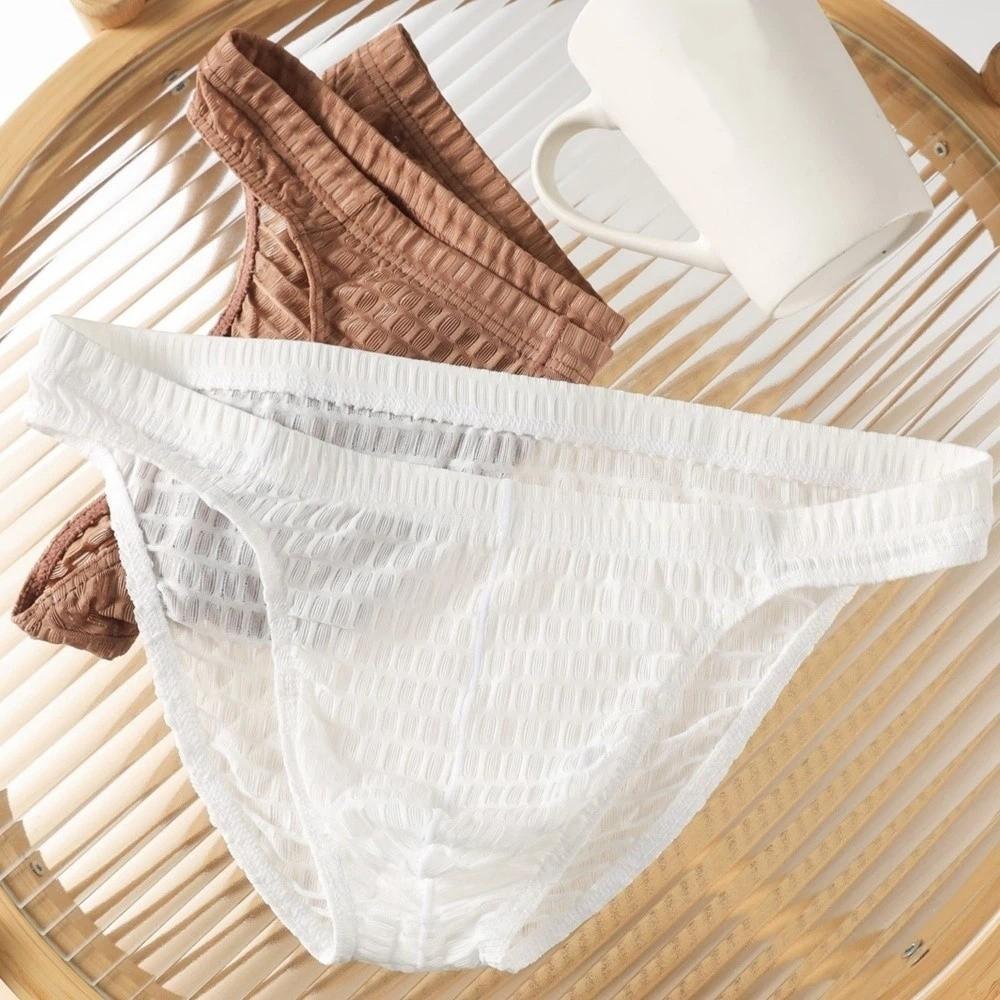 Solid Color Low Waist Men's Briefs Transparent Ultra-thin Ice Silk Underwear Mesh Lingerie See Through Briefs Workout