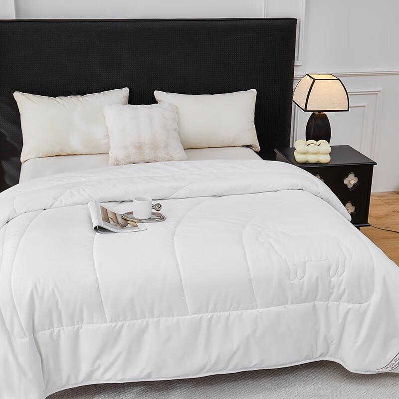 BGM Soft Warm New Zealand Wool Quilt