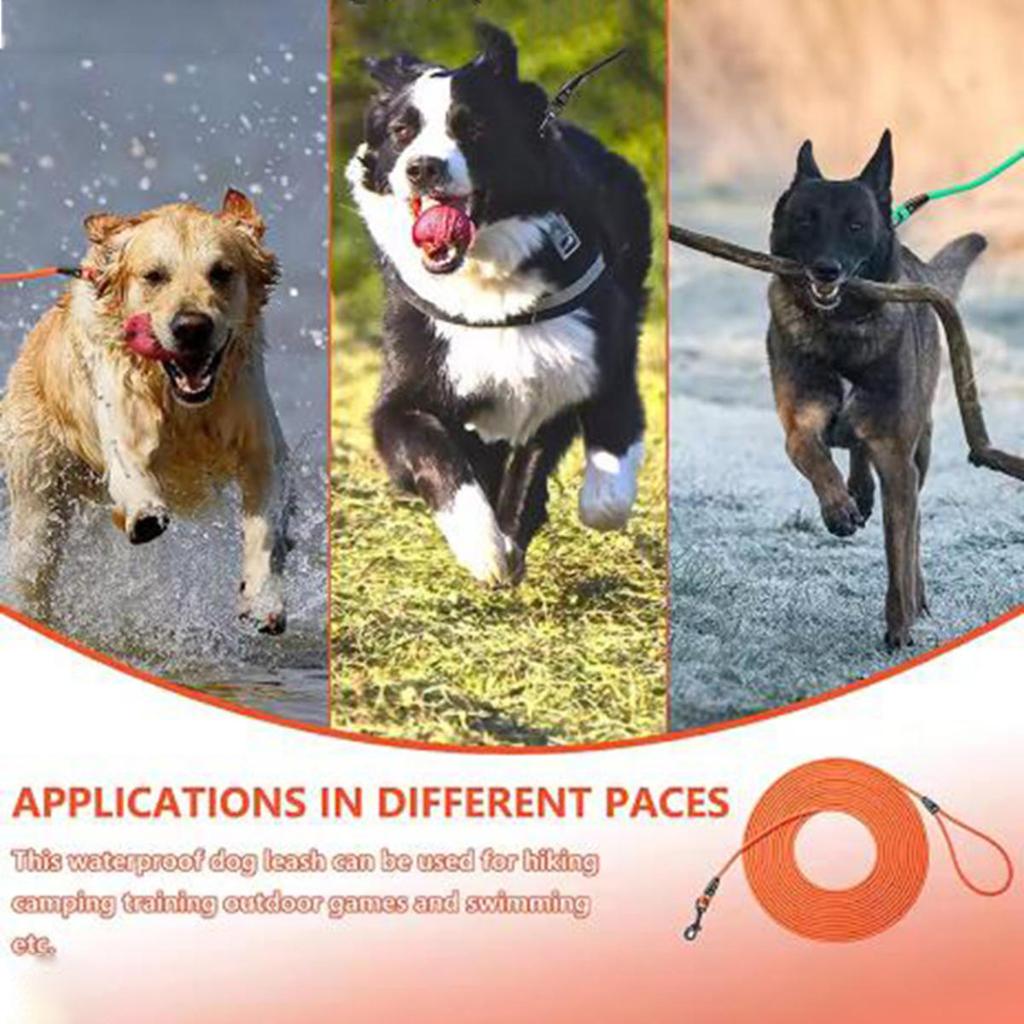 Dog Leash Long Leashes Durable Training Recall Lead Long Great for Training Game In The Garden on The Beach
