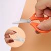 Mini Household Scissors, Stainless Steel DIY Craft Scissors, Manual Paper Cuttings, for Offices, Schools and DIY Crafts