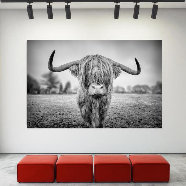 Hochlandkuh, wildes Tier, Leinwandgemälde, Schneevieh, Poster und Drucke, Wandbild für Cuadros, Wohnzimmer, Heimdekoration, ohne Rahmen