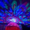 2pcs ABS Lunar New Year Decorations Exquisite Craftsmanship Symbolic Meaning Decorative Lights