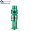 High-Lift 380V Oil-Immersed Submersible Pump for Irrigation