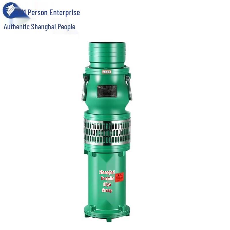 High-Lift 380V Oil-Immersed Submersible Pump for Irrigation