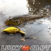 Lucky Craft (LUCKY CRAFT) Deep Crappie SFT BELL (2493 Mechali)