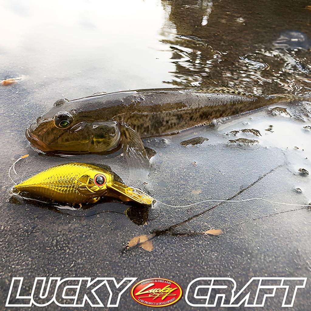 Lucky Craft (LUCKY CRAFT) Deep Crappie SFT BELL (2493 Mechali)