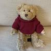 [USED] Teddy Bear Stuffed Animal
