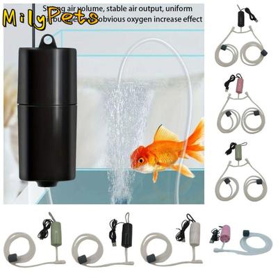 Poissons et animaux marins – Accessoires pour aquarium