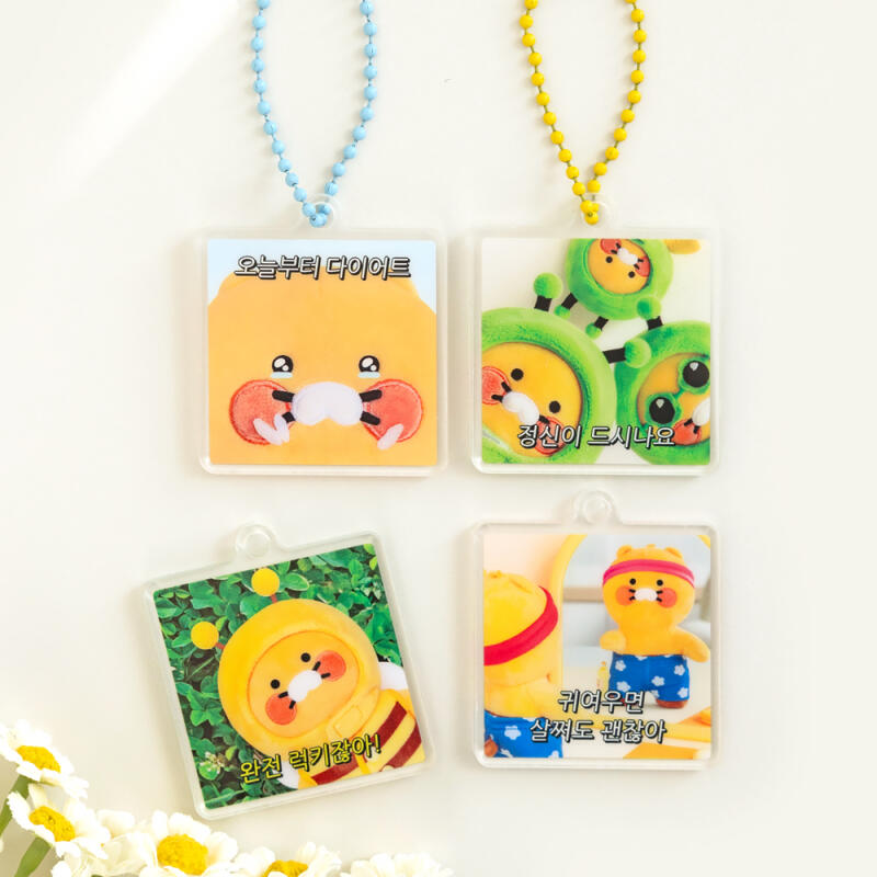 Chunsik photo square acrylic keyring diet