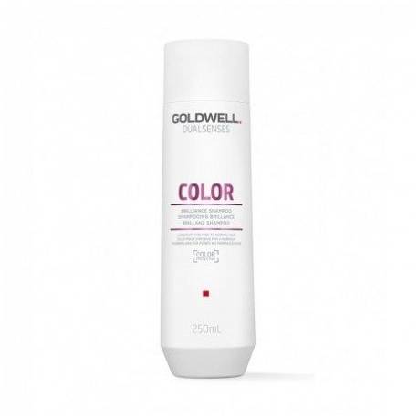 Goldwell Dls Color Fade Shampoo 250Ml New