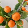 Ramo Arancio Simulato Multifunzionale in Plastica Decorazione Ramo Mandarino Artificiale per la Casa