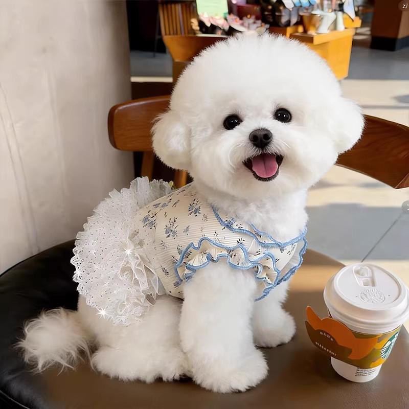 New Pet Clothes Thin Dog Summer Cat Dog Clothes Skirt Lace Floral Pieces Breathable Skin Friendly Dog Teddy Beard Corgi