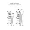 Teenager wall-mounted gymnastics ladder - white and black