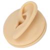Soft Silicone Left Ear Model Ear Acupuncture Practice Model Simulation Ear Display Model