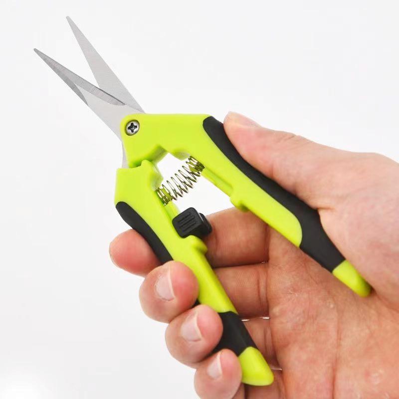 Stainless Steel Tilted Head Fruit Thinning and Pruning Shears
