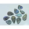 292Cts. Natural Labradorite Carving Pear Cabochon Loose Gemstone 10 Pcs Lot LL-1129