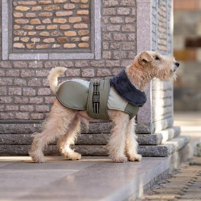 Warme Winter Hundejacke mit Fleecefutter Verstellbare Schnalle Reflektierender Streifen Leinenloch Kleine bis Große Rassen