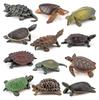 Compact Size Turtle Figure Frog (Hillary Turtle)