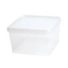 Braplast Breeding Container 19x19x12 Cm with Lid - for Tarantulas and Isopods