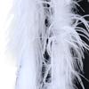 1Ply Ostrich Feather Boa Long High Quality Ostrich Feather Scarf Trims for Party Halloween Clothing Decoration Shawl 2 Meters