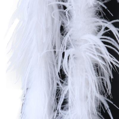 DIY 1Ply Ostrich Feather Boa Long High Quality Ostrich Feather Scarf Trims for Party Halloween Clothing Decoration Shawl 2 Meters