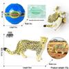 4D Insect Model Toy Set: Ladybug, Stag Beetle, Centipede, Ant, Fly, Mantis